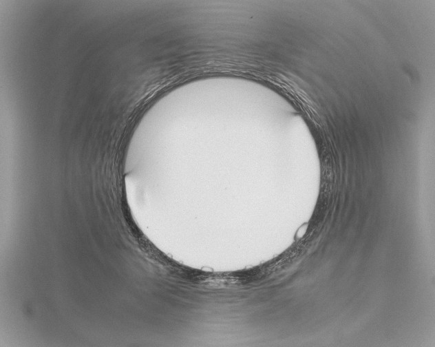 X0000115020415200912071031