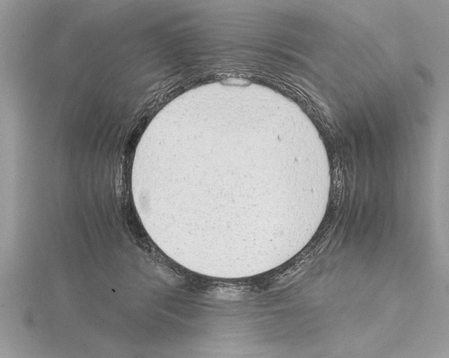 X0000115020416200912071031