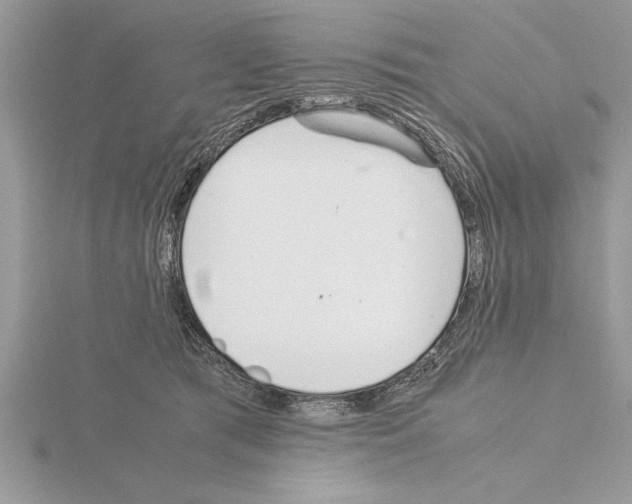 X0000115020417200912071031