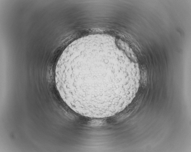 X0000115020418200912071031