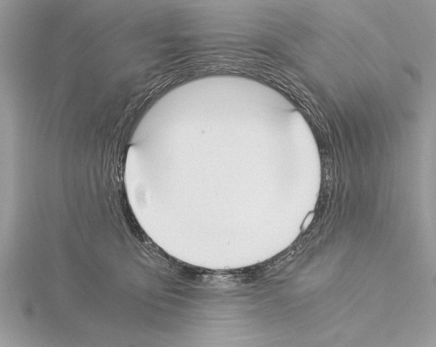 X0000115020419200912071031