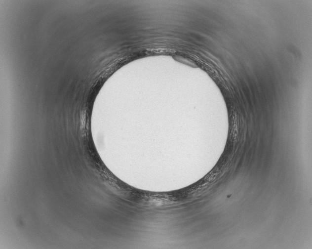 X0000115020420200912071031