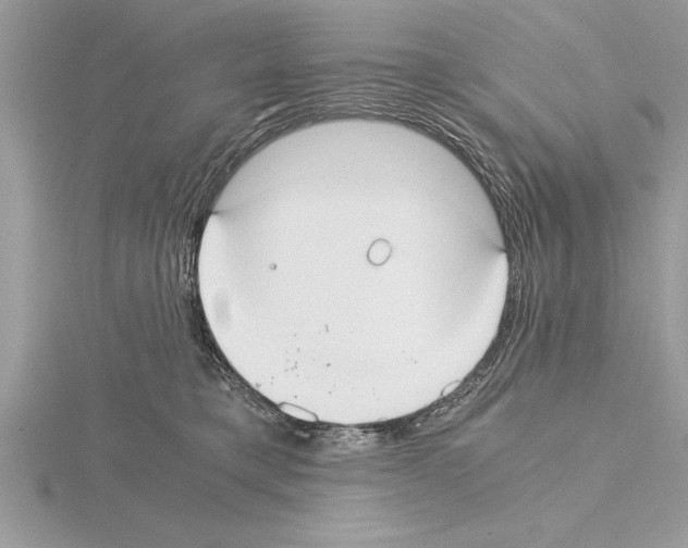 X0000115020421200912071031