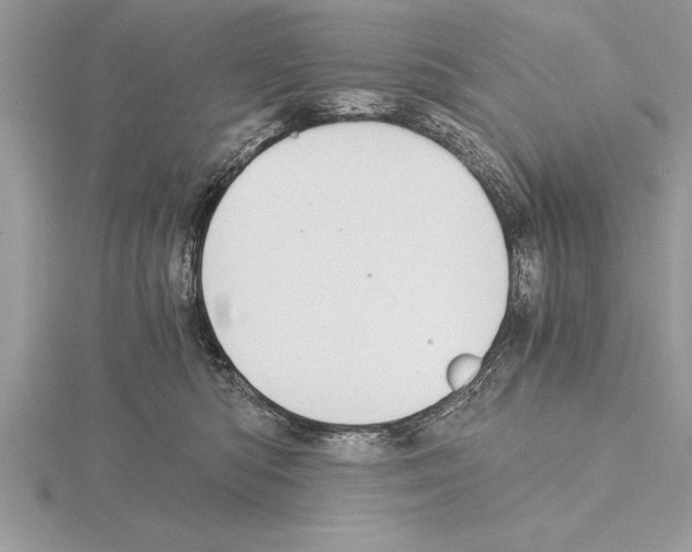 X0000115020422200912071031