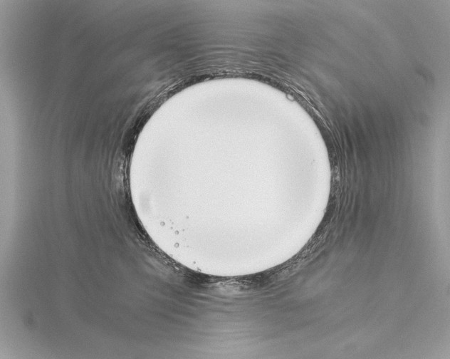 X0000115020423200912071031