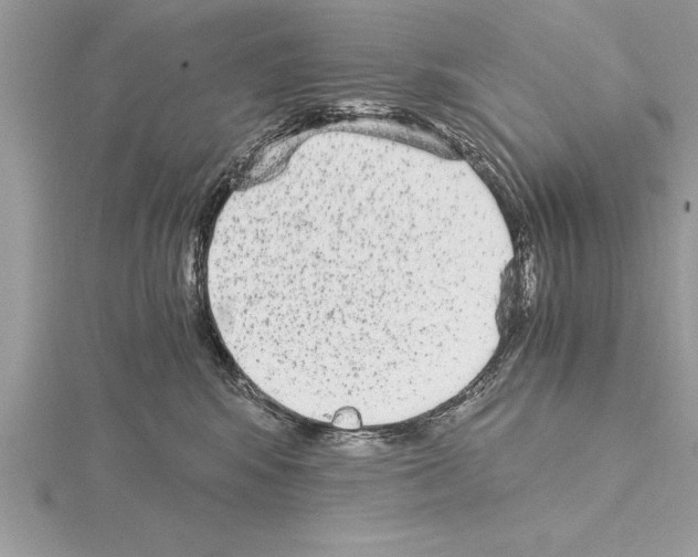 X0000115020424200912071031