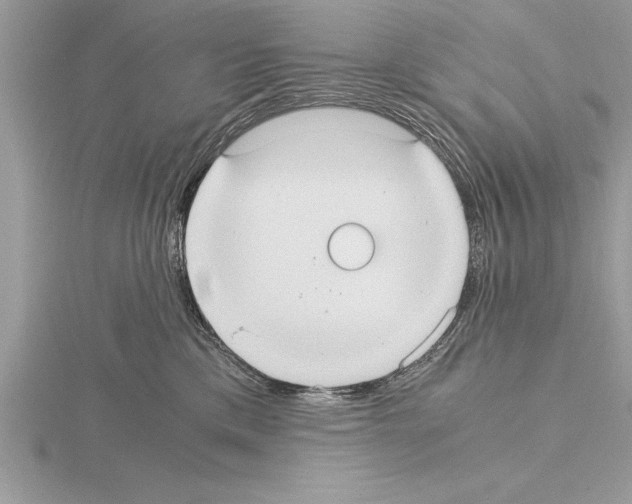 X0000115020425200912071031