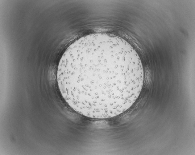 X0000115020426200912071031