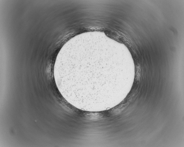 X0000115020428200912071031