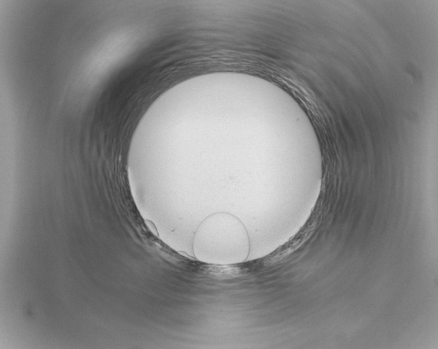 X0000115020429200912071031