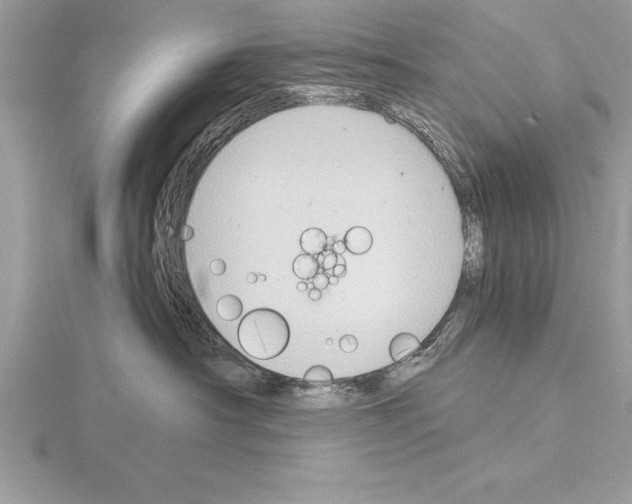 X0000115020430200912071031