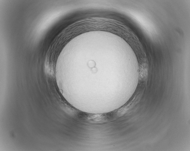 X0000115020431200912071031