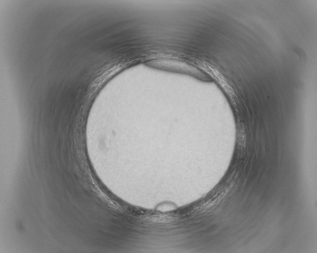 X0000115020433200912071030