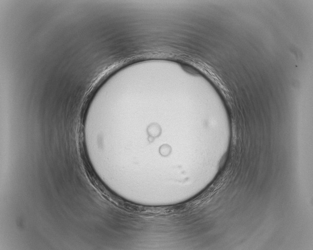 X0000115020434200912071030