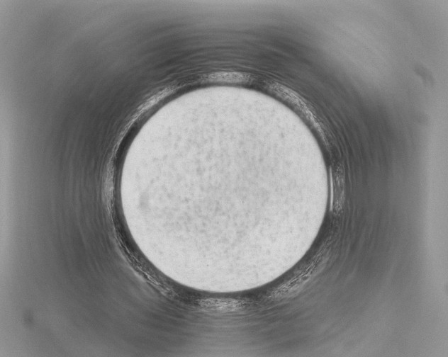 X0000115020435200912071030