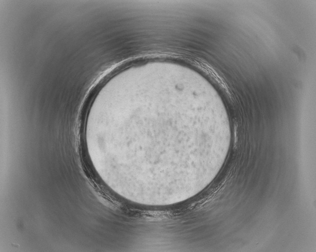 X0000115020436200912071030