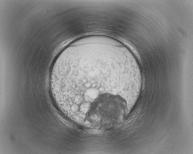 X0000115020437200912071030