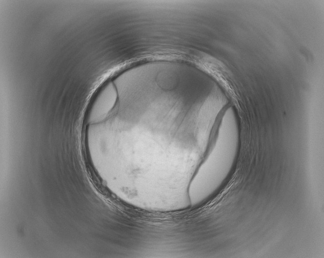 X0000115020438200912071030