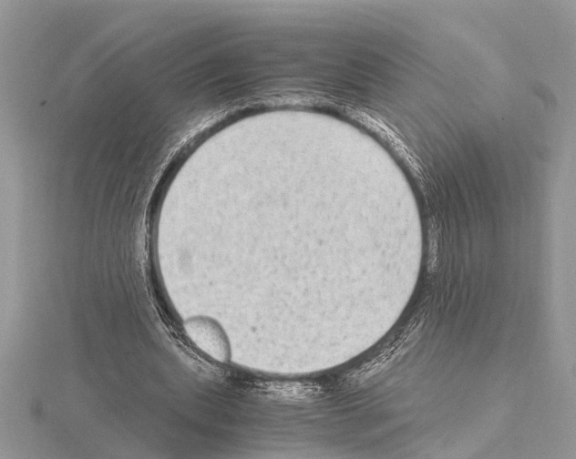 X0000115020439200912071030