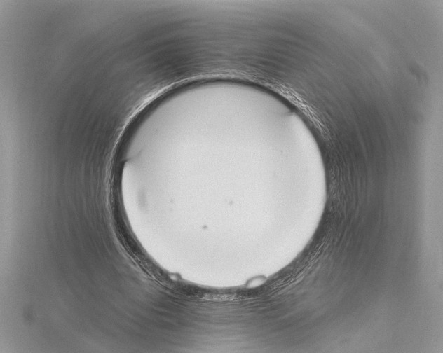 X0000115020440200912071031