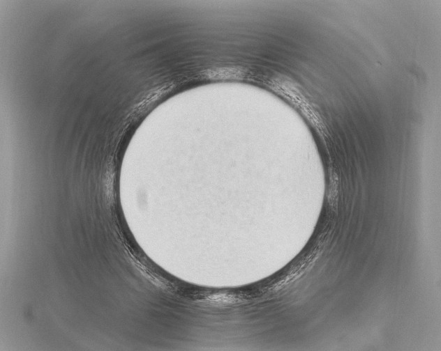 X0000115020441200912071031