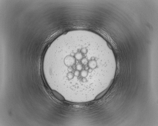 X0000115020442200912071031