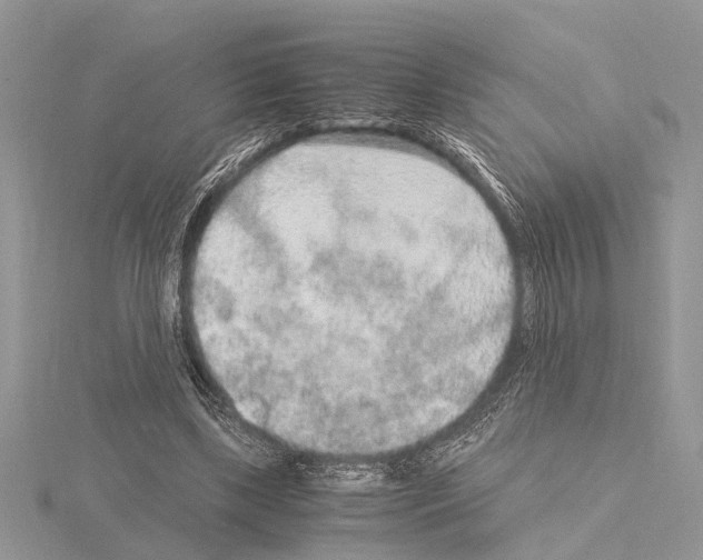 X0000115020443200912071031