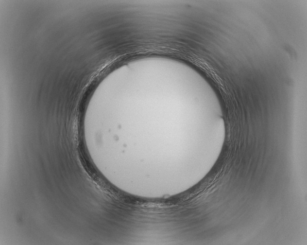 X0000115020444200912071031