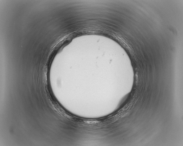 X0000115020446200912071031