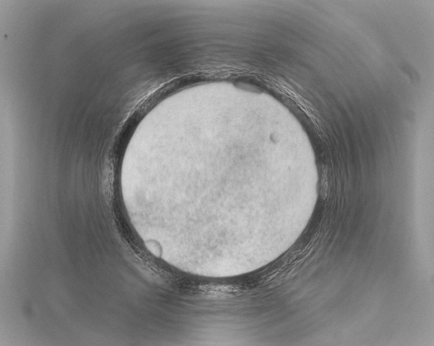 X0000115020448200912071031