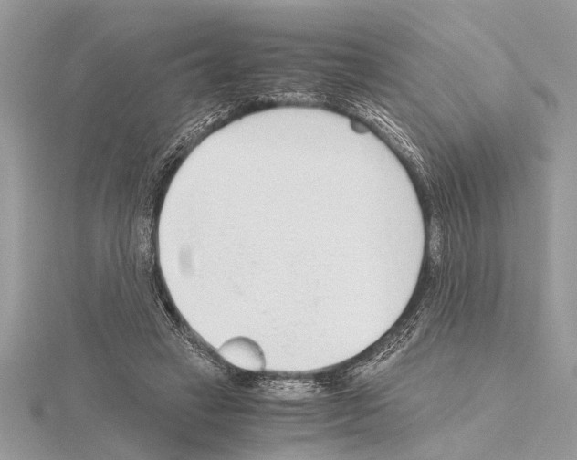 X0000115020449200912071031