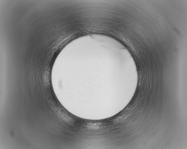 X0000115020450200912071031