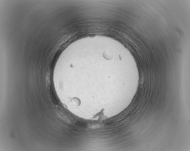 X0000115020452200912071031