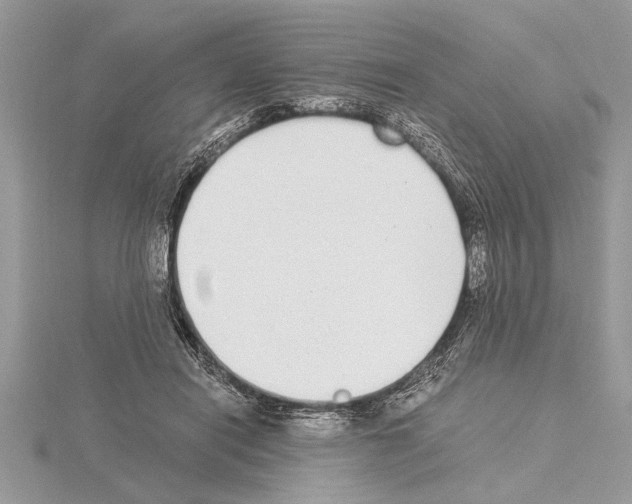 X0000115020454200912071031