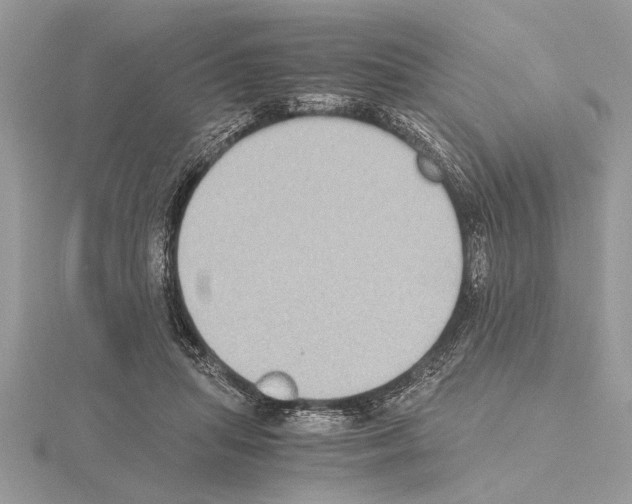 X0000115020455200912071031