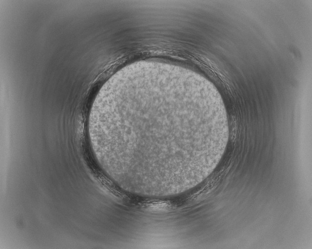 X0000115020456200912071031