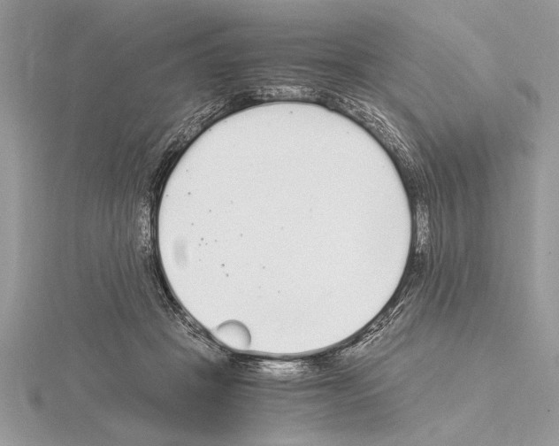 X0000115020457200912071031