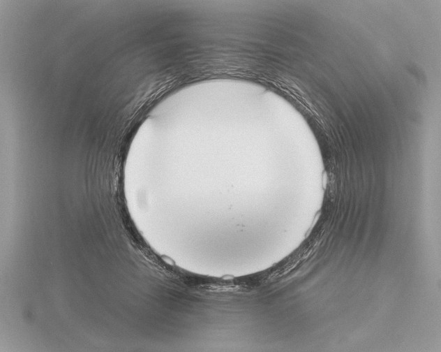 X0000115020458200912071031