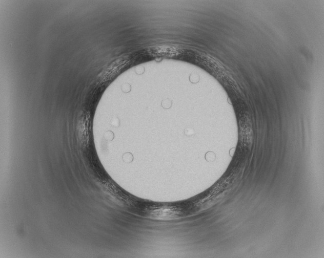 X0000115020460200912071031