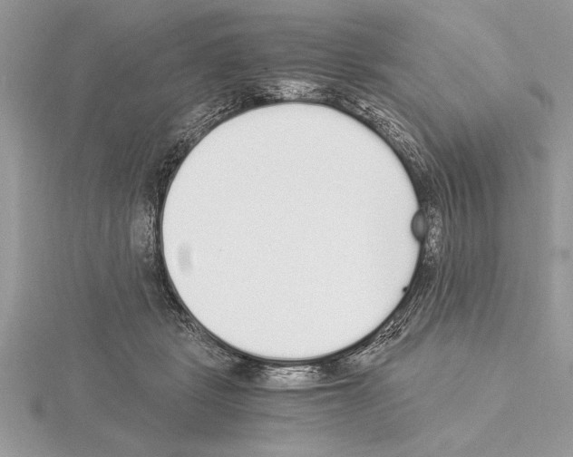 X0000115020461200912071031