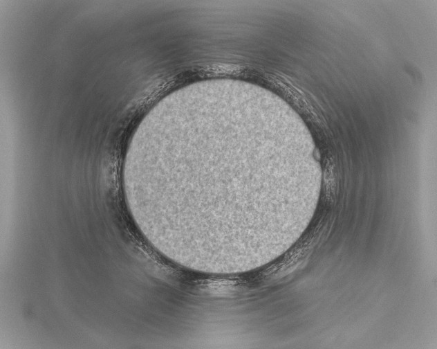 X0000115020462200912071031