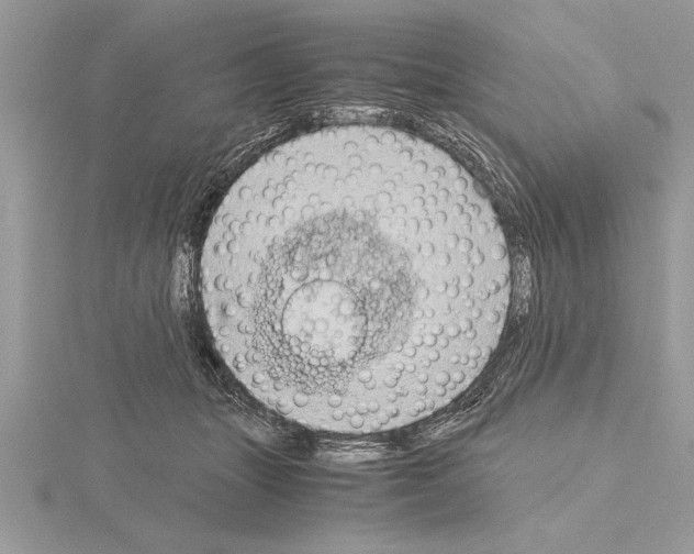 X0000115020463200912071031