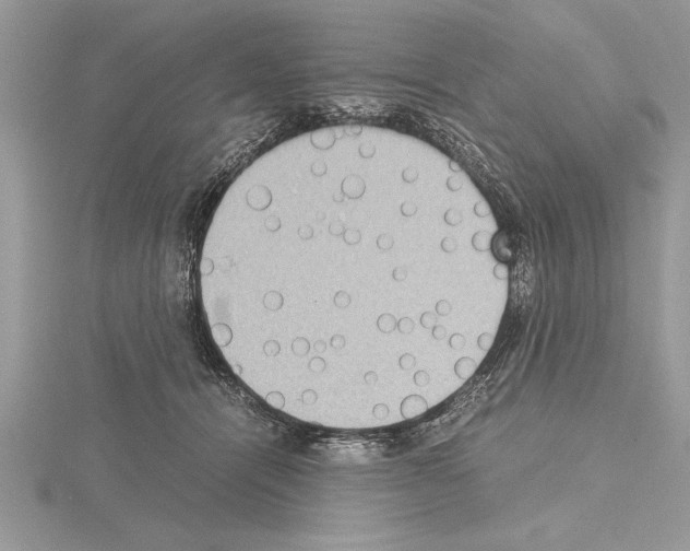 X0000115020464200912071031