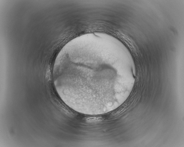 X0000115020465200912071031