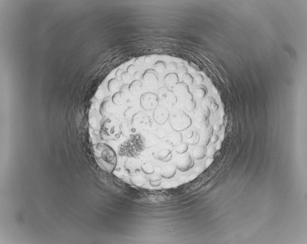 X0000115020466200912071031