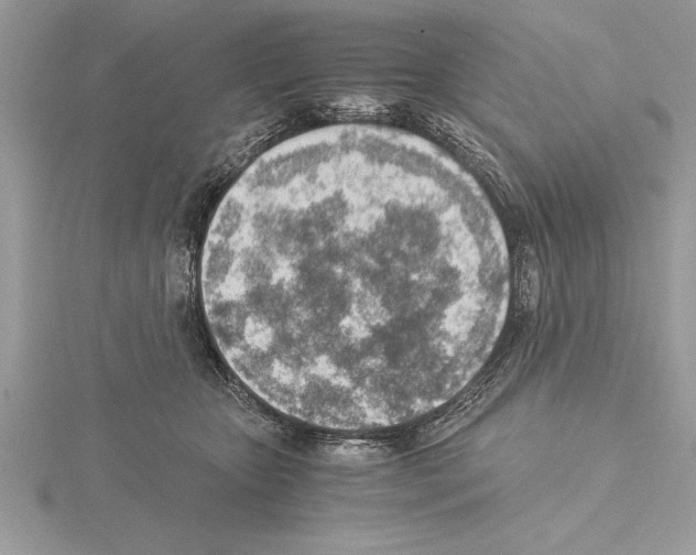 X0000115020467200912071031