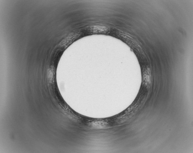 X0000115020468200912071031