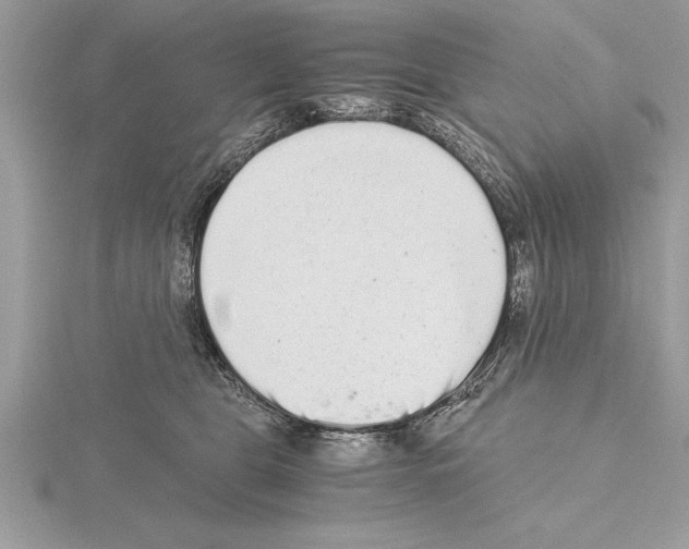 X0000115020469200912071031