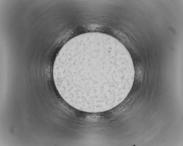 X0000115020470200912071031