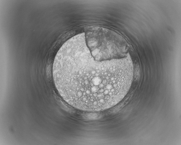 X0000115020473200912071031